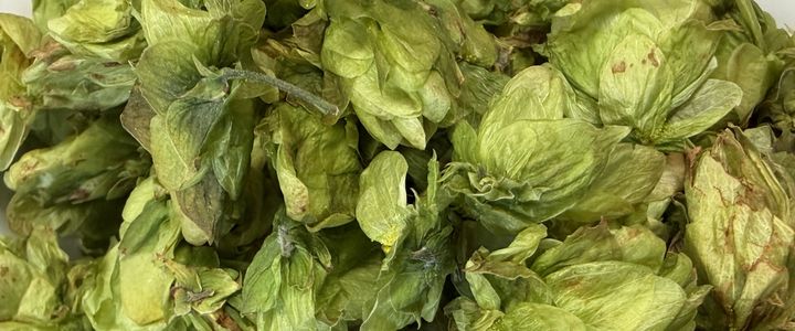 Brautag #253: so fresh and so green